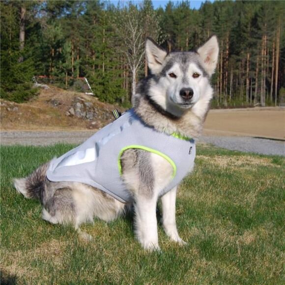 Dog Cooling Vest Harness Cooler Jacket Grey Green Medium - Picture 4 of 7